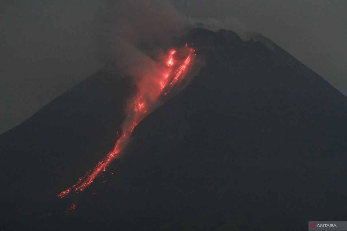 Gunung Merapi luncurkan 160 kali guguran lava selama sepekan