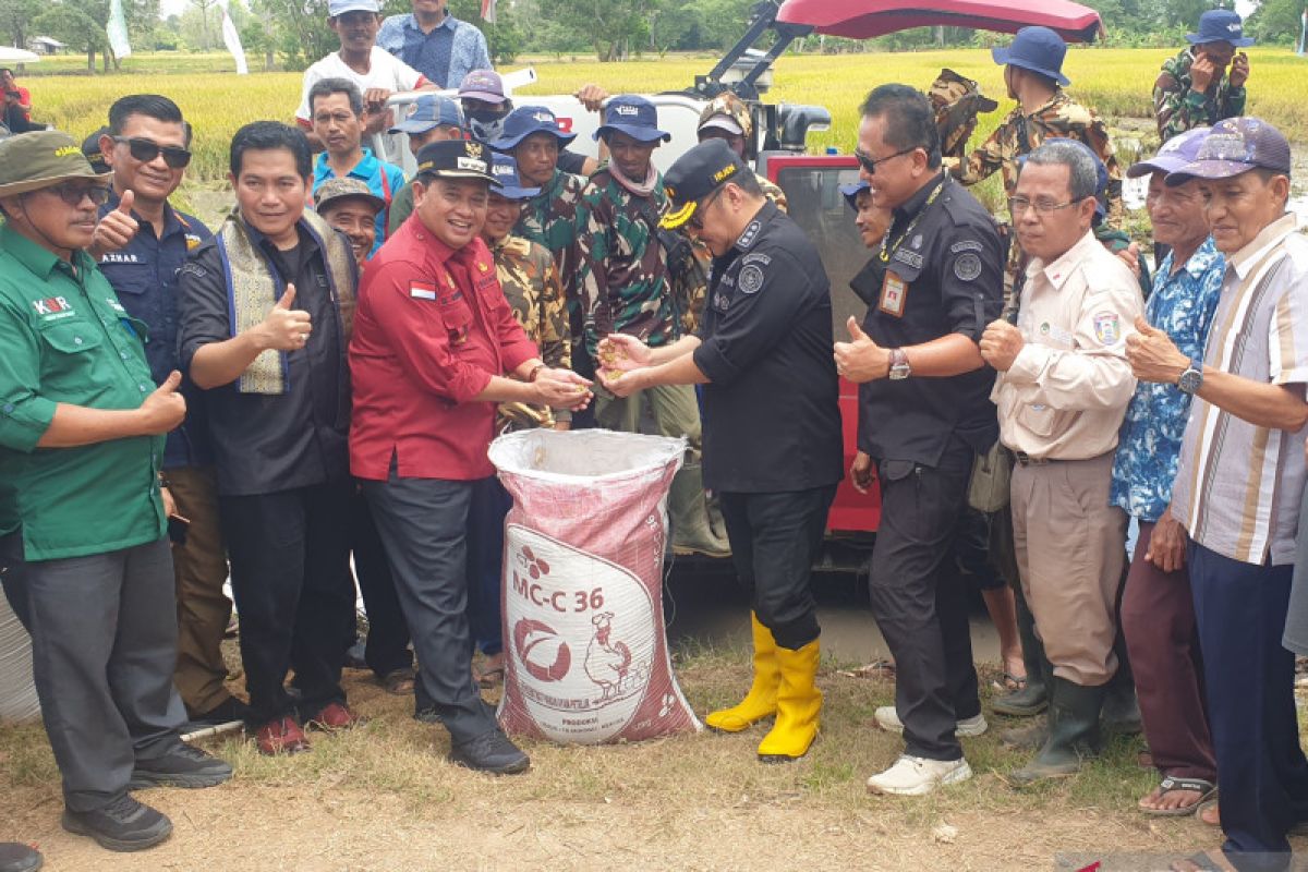 Petani Banyuasin panen raya padi rawa lebak bersama Irjen Kementan