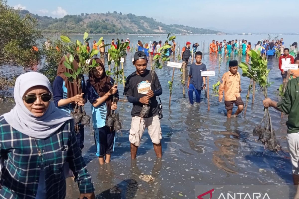 Geopark Tambora dan PPN konservasi mangrove di Teluk Bima NTB