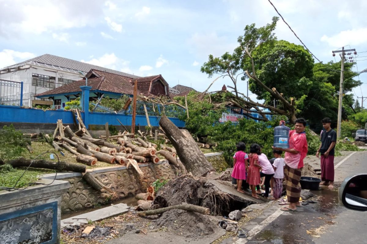 DLH Mataram berupaya mengolah limbah kayu menjadi pelet