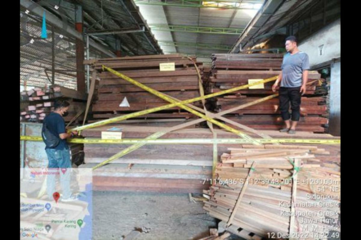 KLHK: Pelaku pembalakan kayu merbau ilegal siap disidangkan