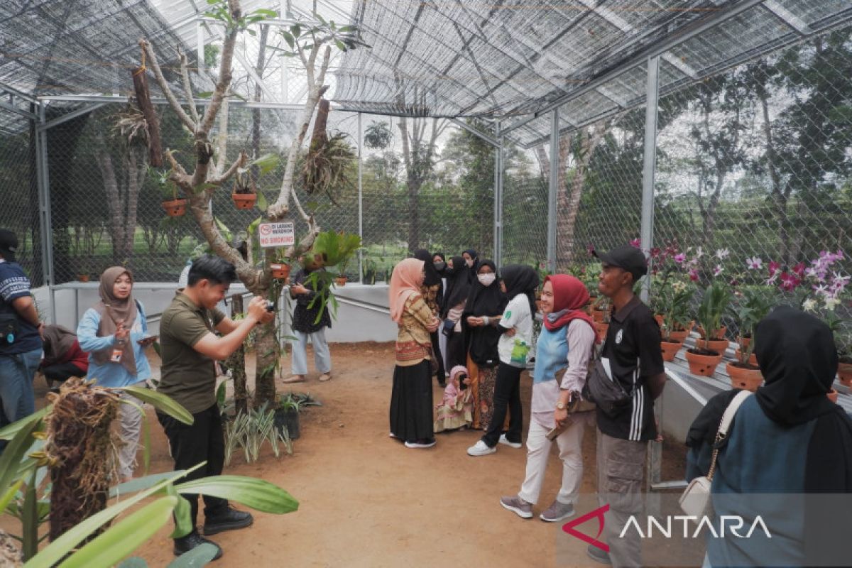 Greenhouse Anggrek Pertamina jadi wisata edukasi di Kota Pangkalpinang