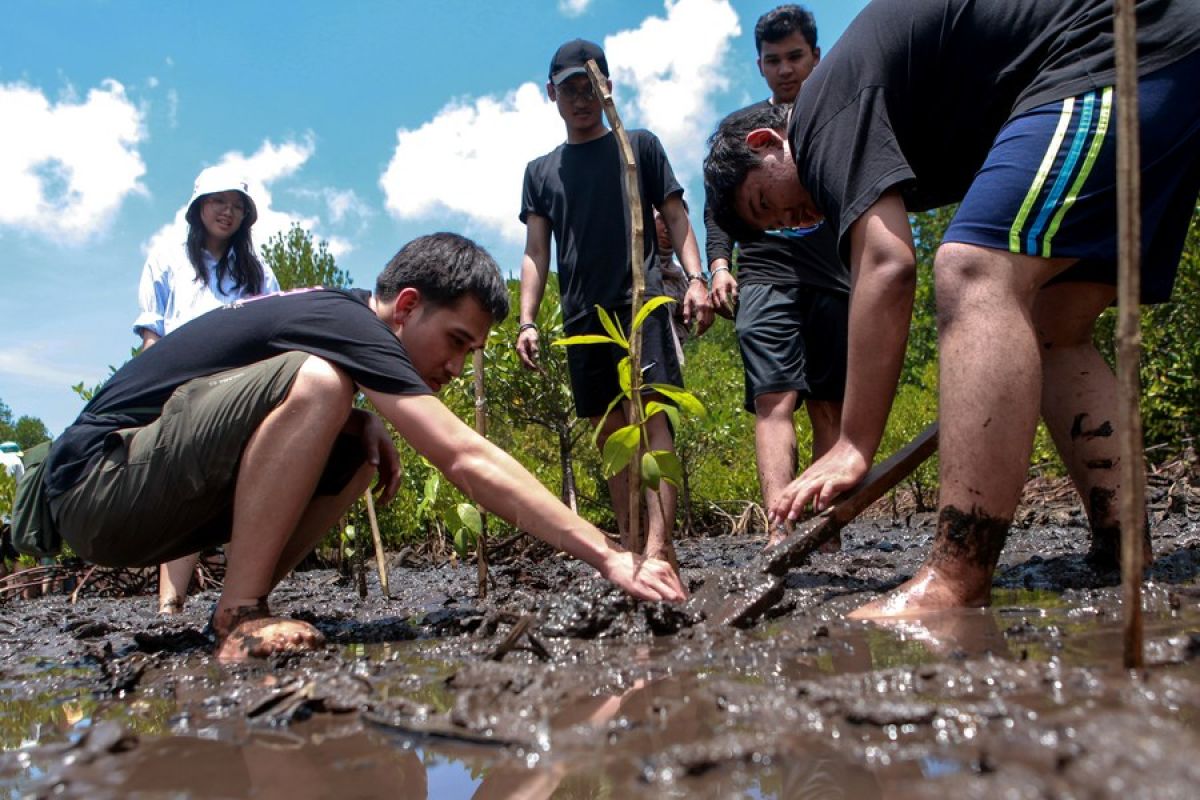 Album Asia: Menilik suasana hutan bakau yang rimbun di Kota Malang