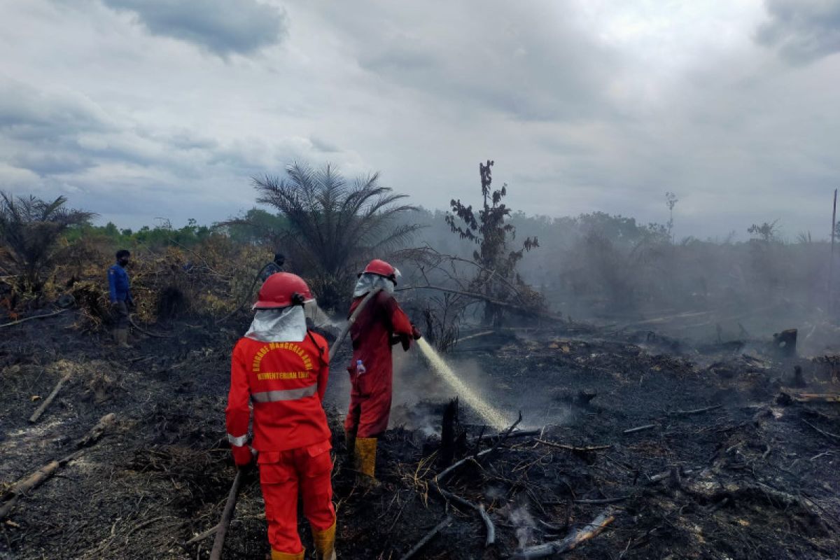 Tim gabungan padamkan karhutla seluas tiga hektare di Siak Riau