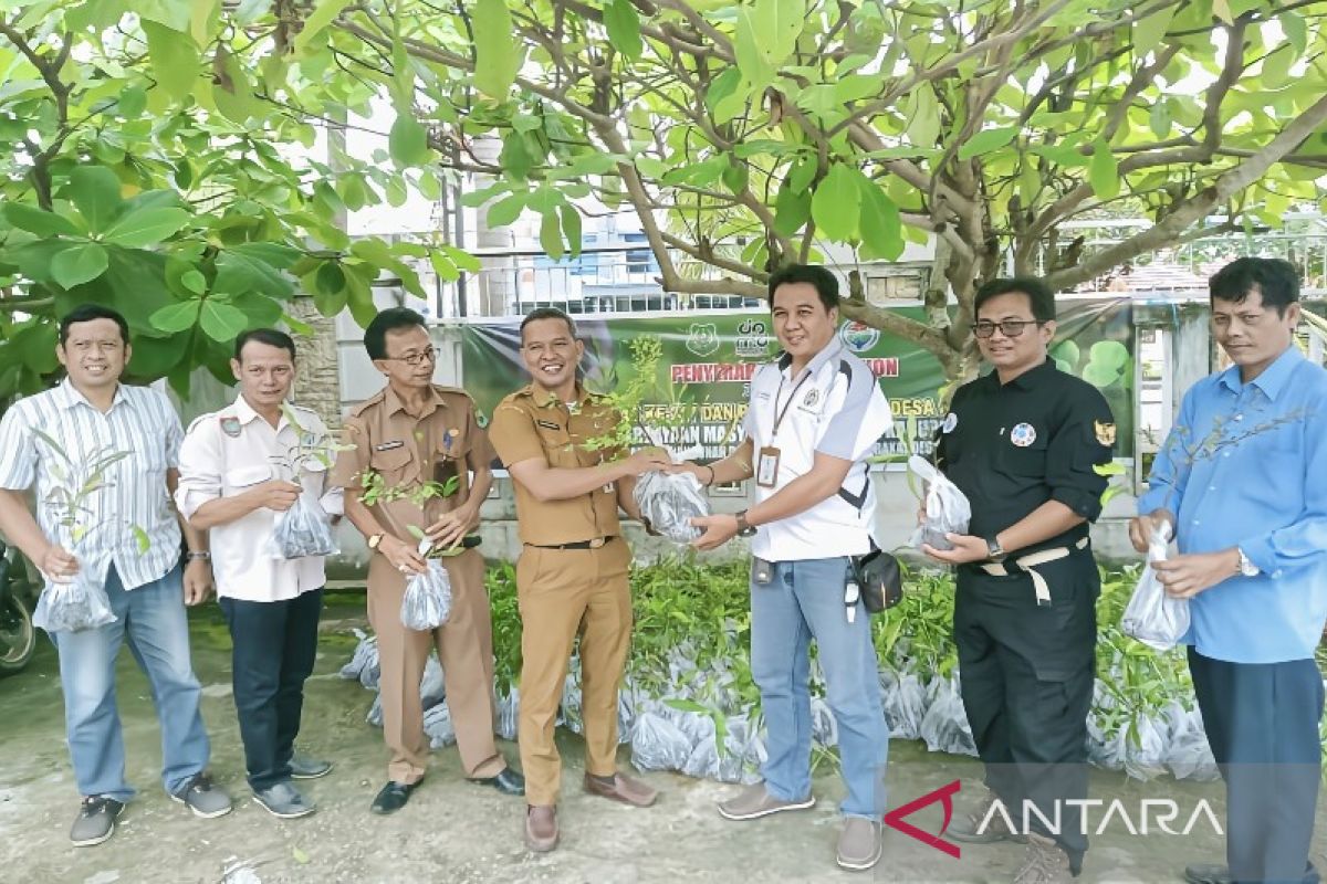 DPMD Kapuas bagikan ribuan bibit pohon gratis untuk desa