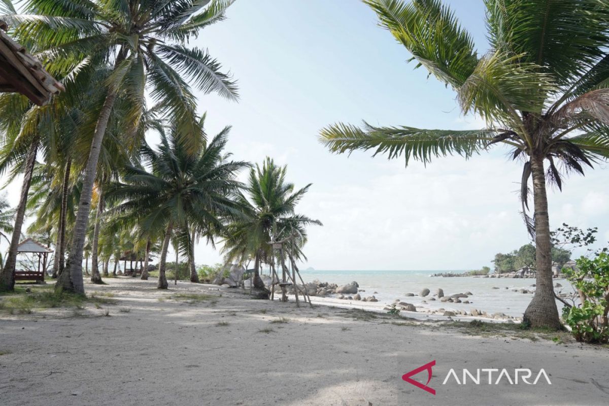 Pesona Pantai Pulau Tiga makin memukau, PT Timah Tbk bantu bangun fasilitas untuk pengunjung