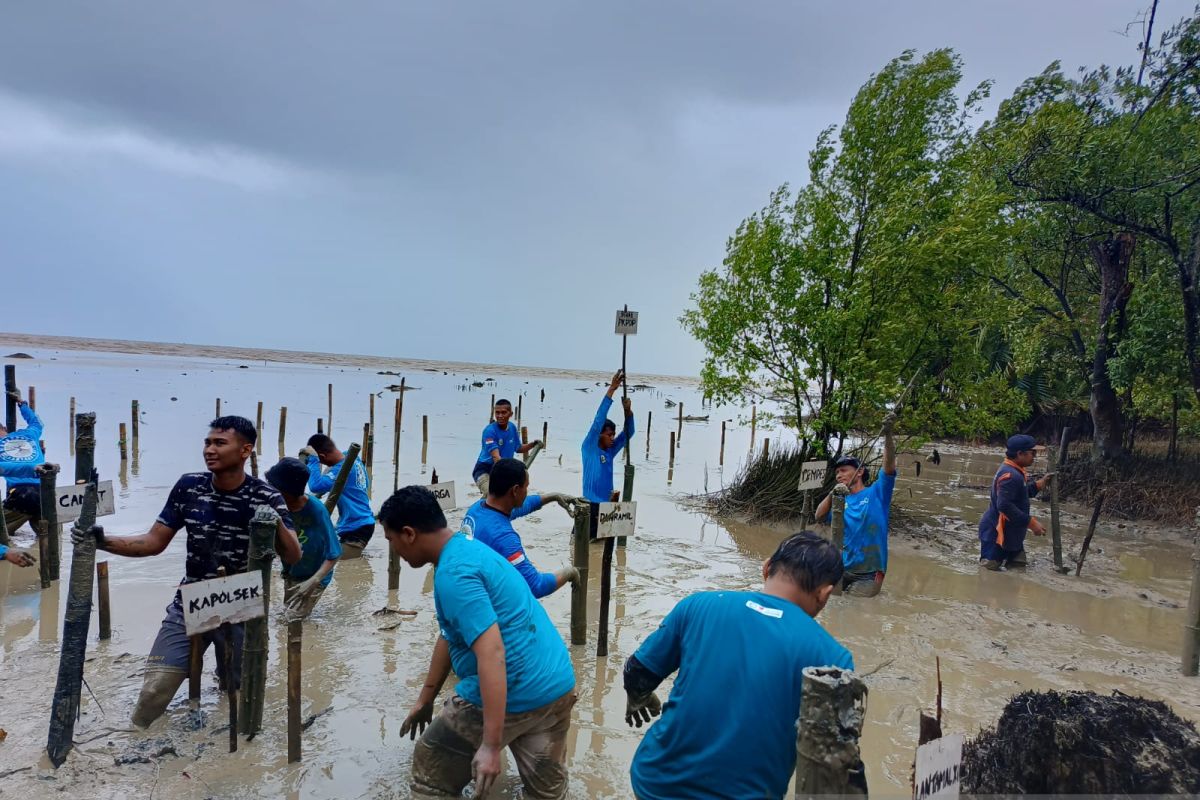 Gemawan dan AJI Pontianak gandeng Lantamal XII tanam mangrove di Mempawah