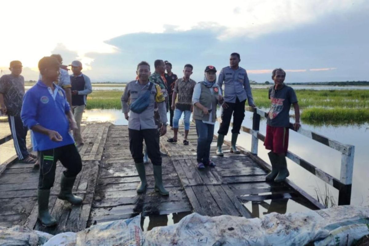 328 hektare sawah dan pemukiman Sumber Sari Kaltim terendam banjir