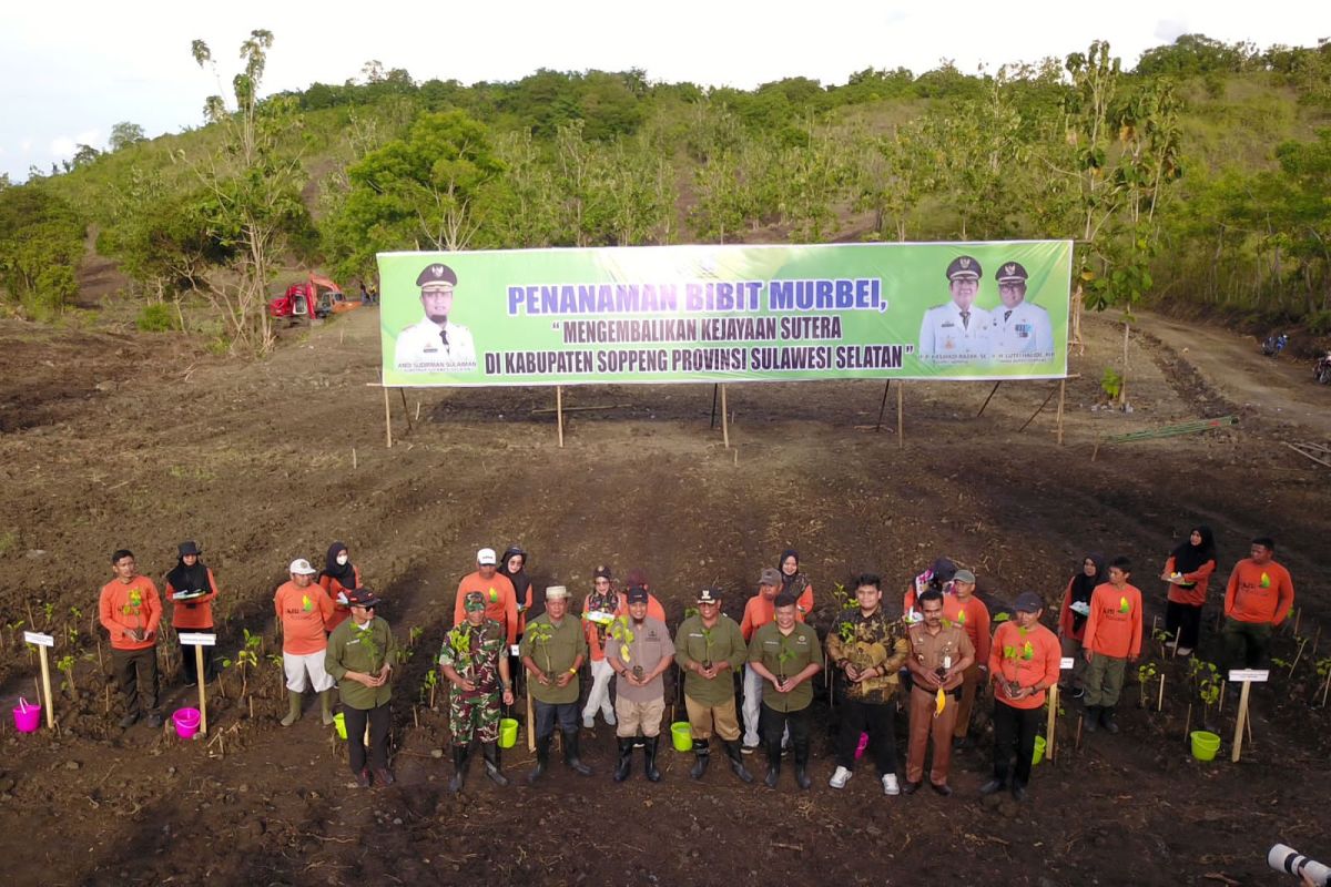 Gubernur Sulsel tanam 1,5 juta bibit murbei guna kembali jayakan sutera Soppeng