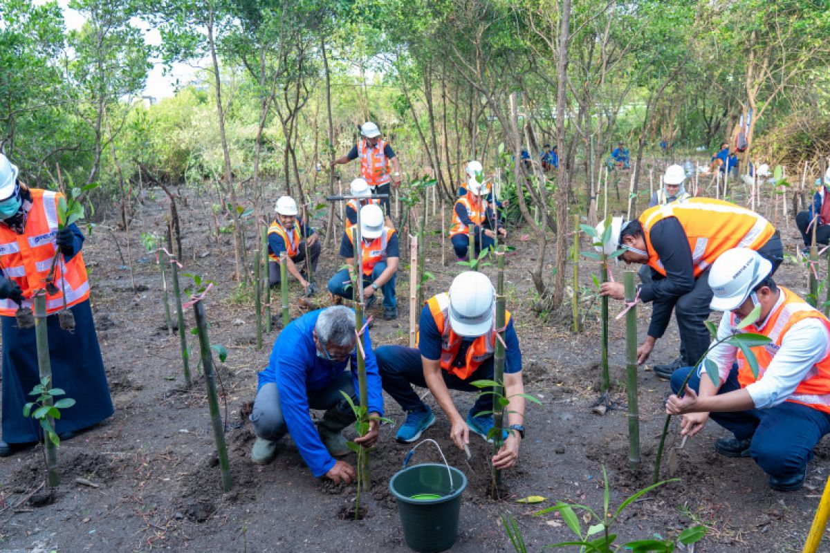 TPS terus lestarikan lingkungan melalui penanaman mangrove