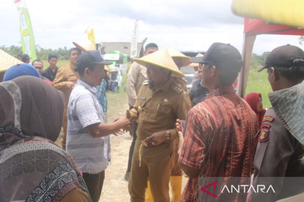 Bupati Penajam larang petani alihfungsikan lahan persawahan