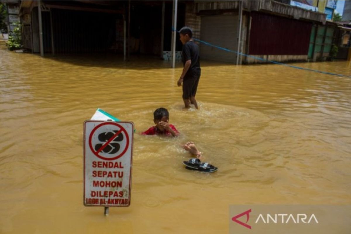 BNPB: Tekanan urbanisasi dominasi penyebab banjir-longsor di Jawa