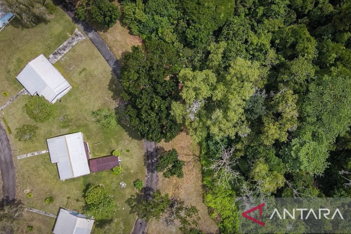 Hari Hutan Sedunia, ikhtiar PHR jaga Rimba Raya dan Populasi Gajah Sumatra