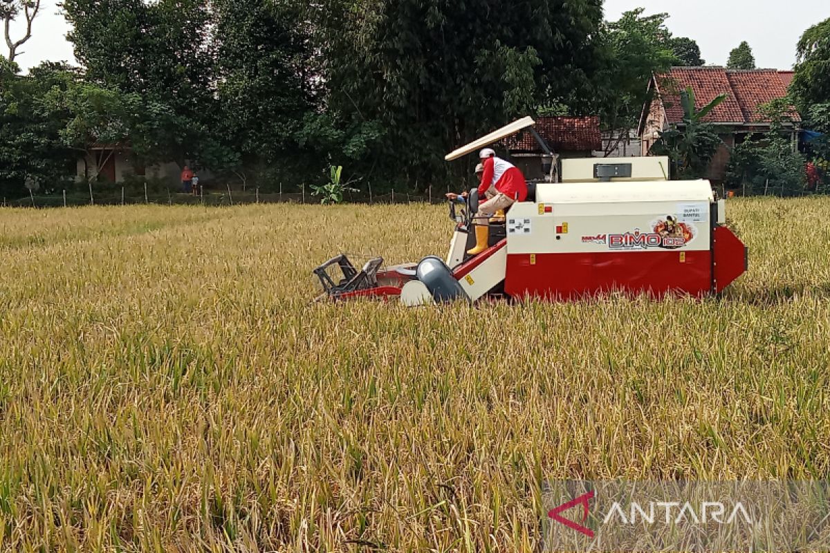 Bantul salurkan bantuan alat mesin pertanian untuk kelompok tani