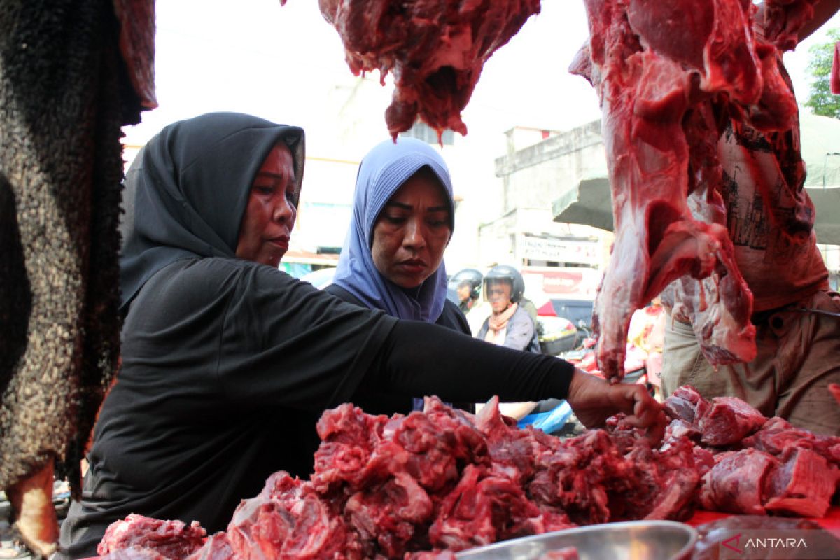 Pemprov Sumut pastikan stok daging sapi  terpenuhi hingga Lebaran