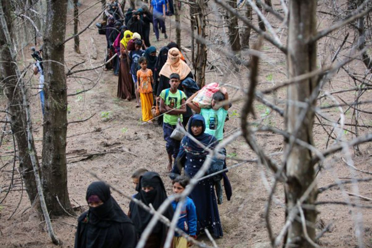 UNHCR ingatkan pengungsi rohingya di Aceh agar tidak kabur, rawan perdagangan manusia
