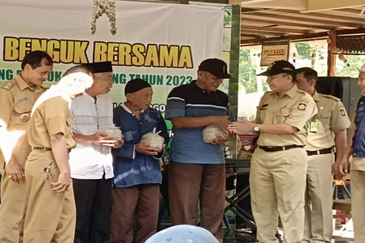 Dinas Pertanian Kulon Progo menyalurkan bantuan bibit koro benguk