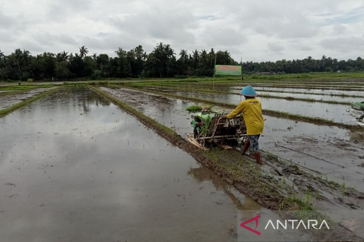 60 persen jaringan irigasi di Bantul telah dibangket