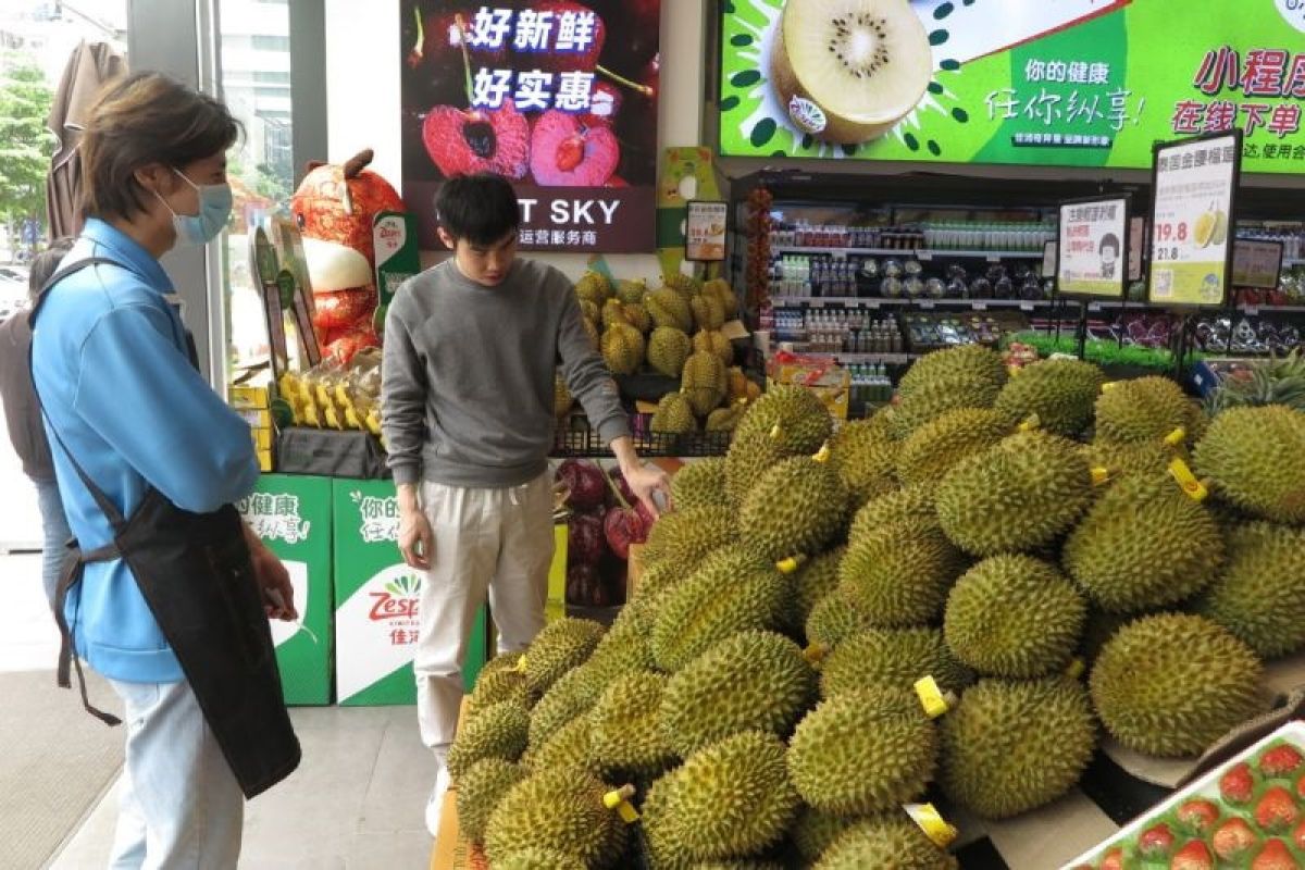 Filipina targetkan akan ekspor 54.000 ton durian ke China pada 2023