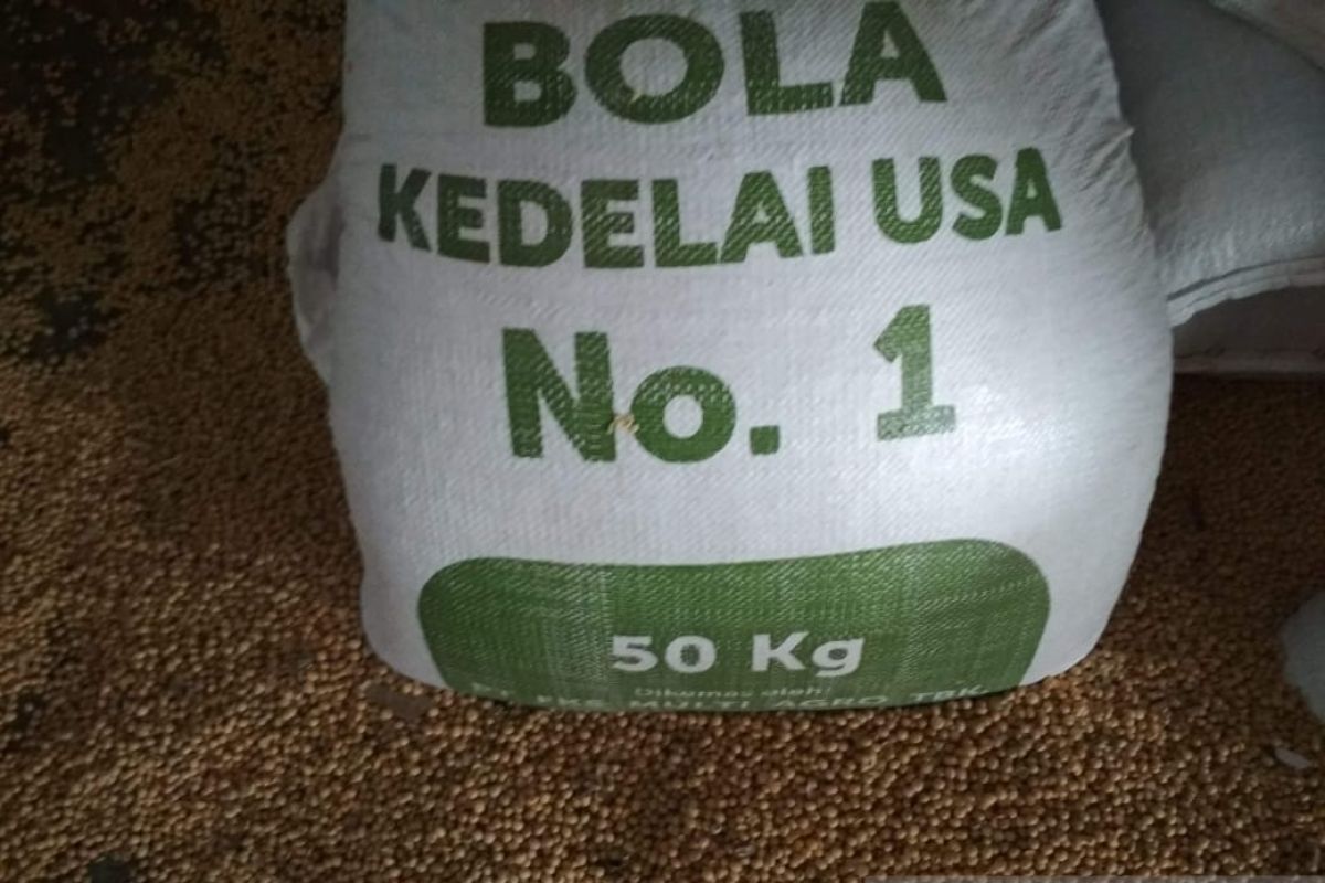 Harga kedelai impor  di Kudus turun dari Rp1.500 jadi Rp1.300 per kg