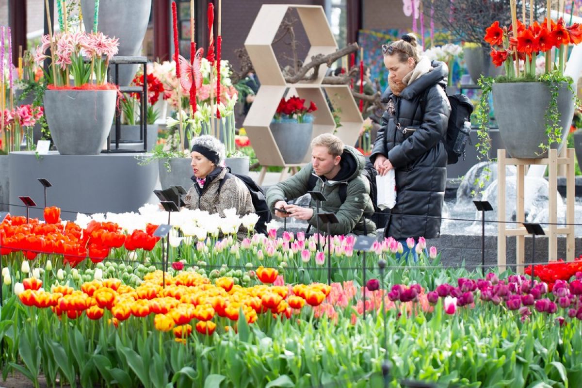 Taman bunga Keukenhof di Belanda kembali dibuka untuk umum