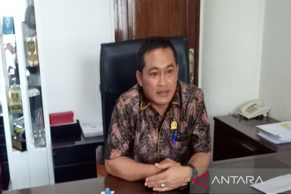 Komisi III DPRD Kotabaru apresiasi pelayanan dr.Share di Pulau Maradapan