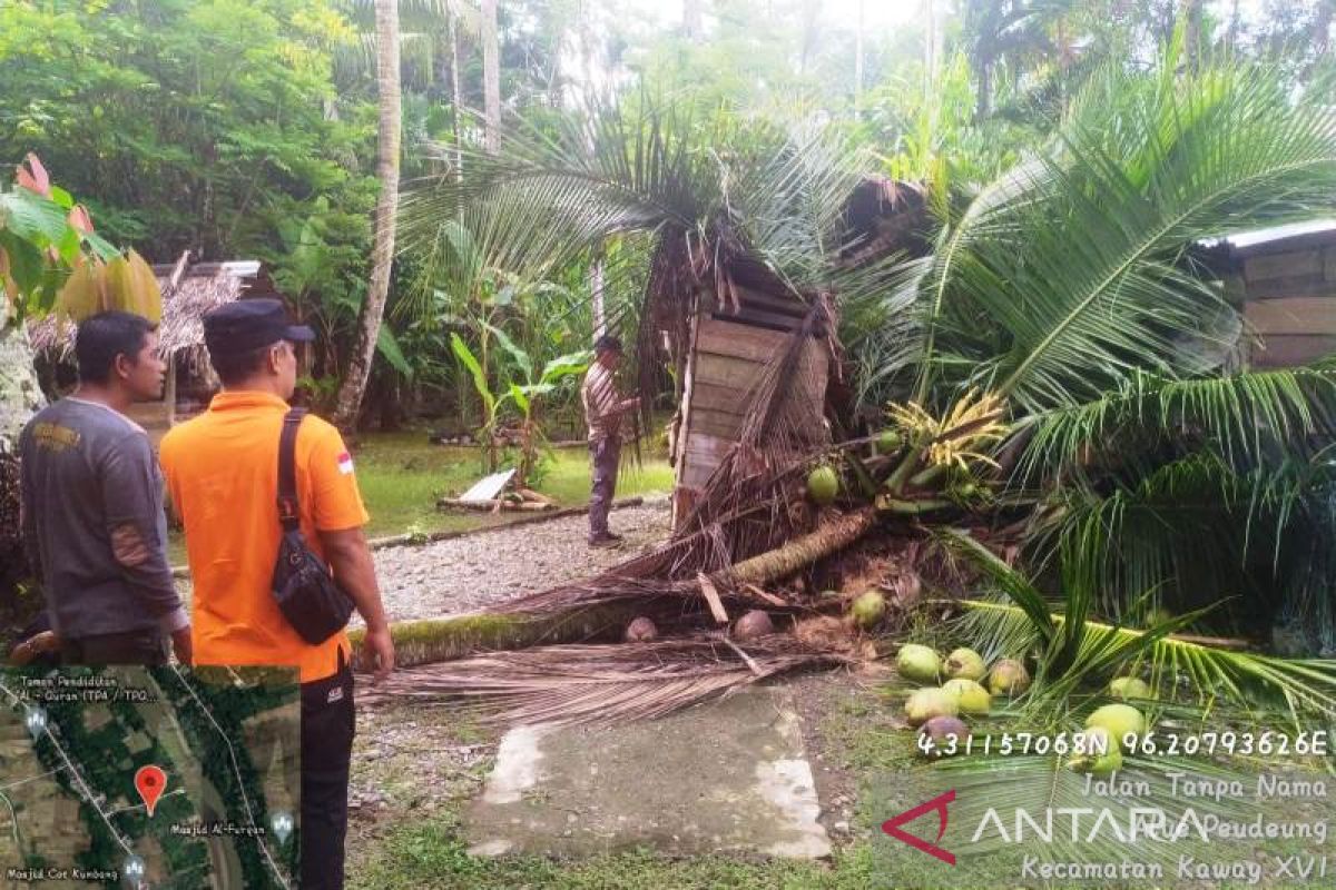 Rumah warga di Aceh Barat tertimpa pohon saat terjadi angin kencang, begini kronologinya