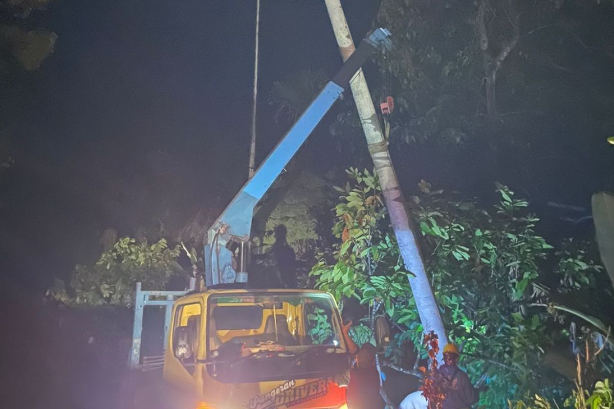 PLN gerak cepat pulihkan listrik di Pidie yang padam akibat pohon tumbang