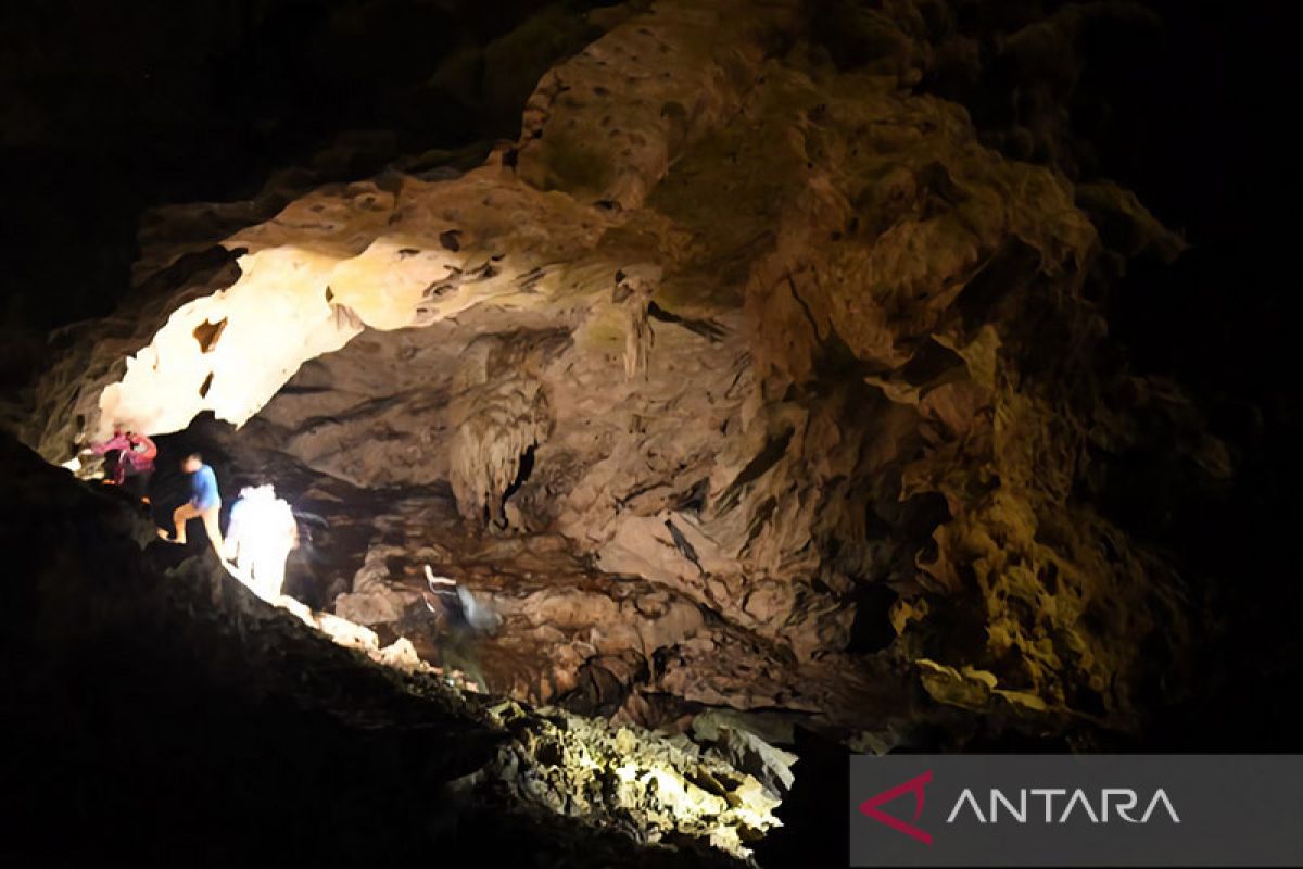Peneliti identifikasi 11 keragaman ekologi di Batu Benau Kaltara
