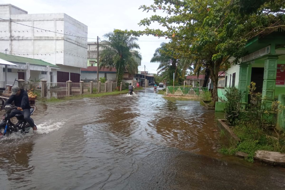 Banjir rendam rumah warga di Tiku Agam