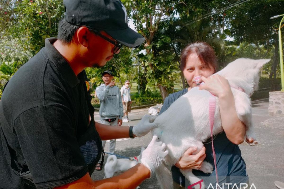 Peringati Hari Tumpek Uye, Pemkot Denpasar layani vaksinasi rabies