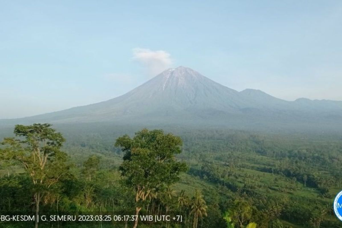Aktivitas Gunung Semeru alami 21 kali gempa letusan