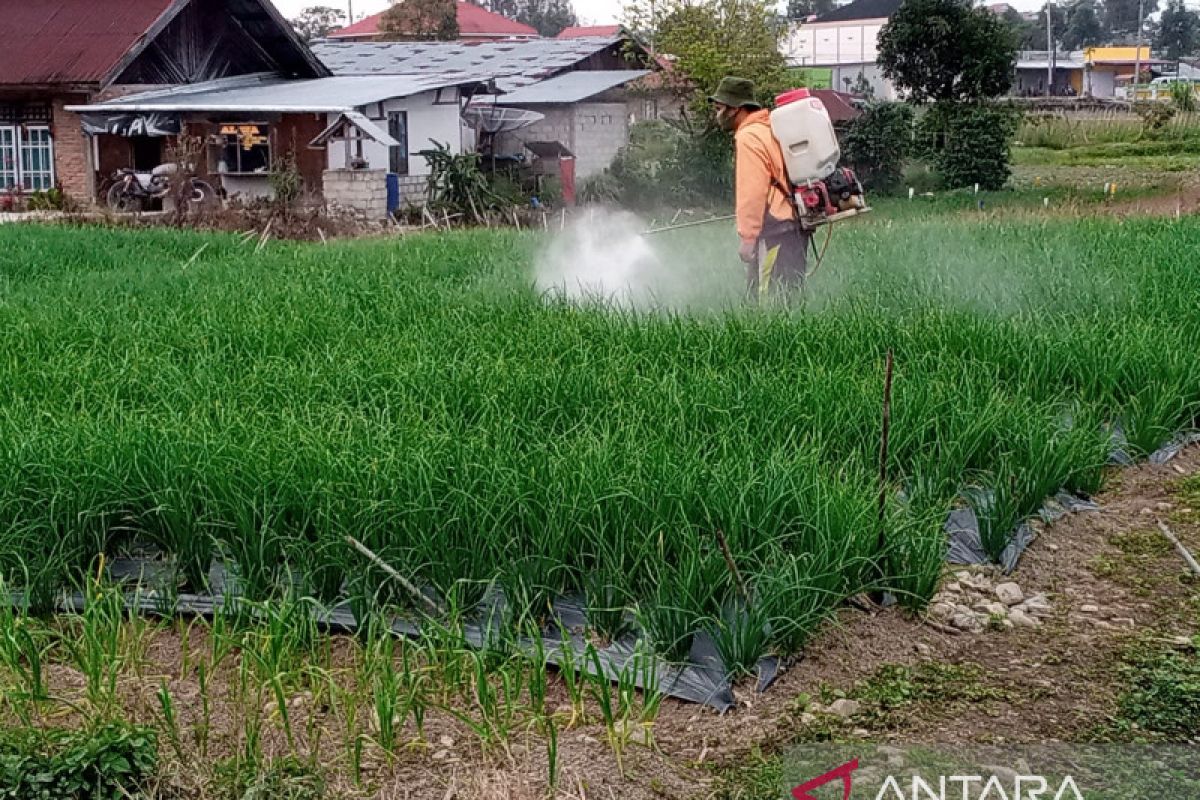 Penggunaan pestisida di Alahan Panjang cukup tinggi, ini imbauan wagub Sumbar