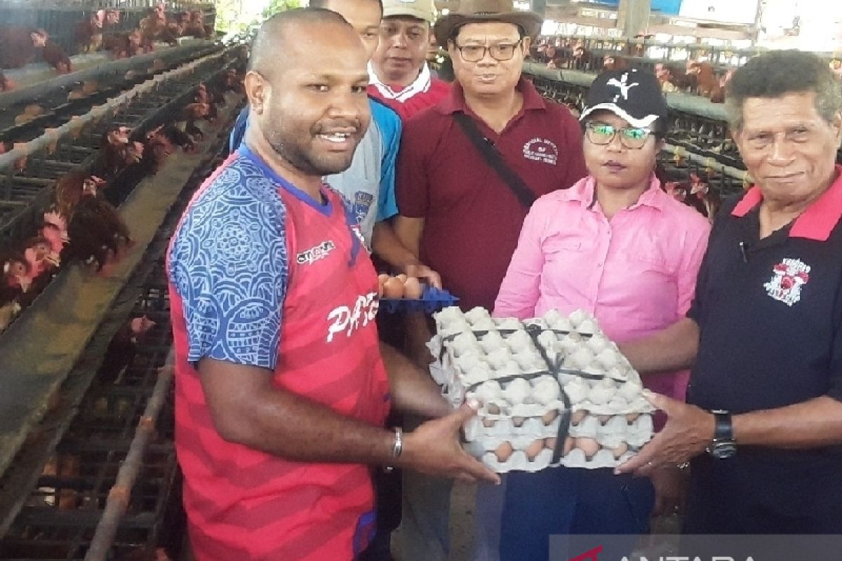 Kebutuhan telur ayam selama Ramadhan dipasok peternak lokal