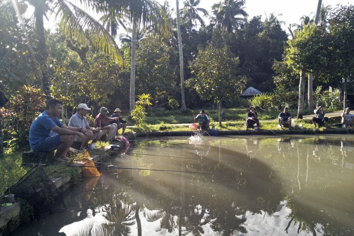 Diskanlut Lombok Tengah sebutkan stok ikan air tawar aman