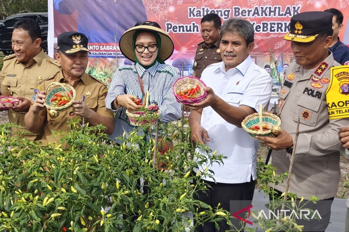 Pemprov Kalteng minta masyarakat menerapkan pertanian perkotaan