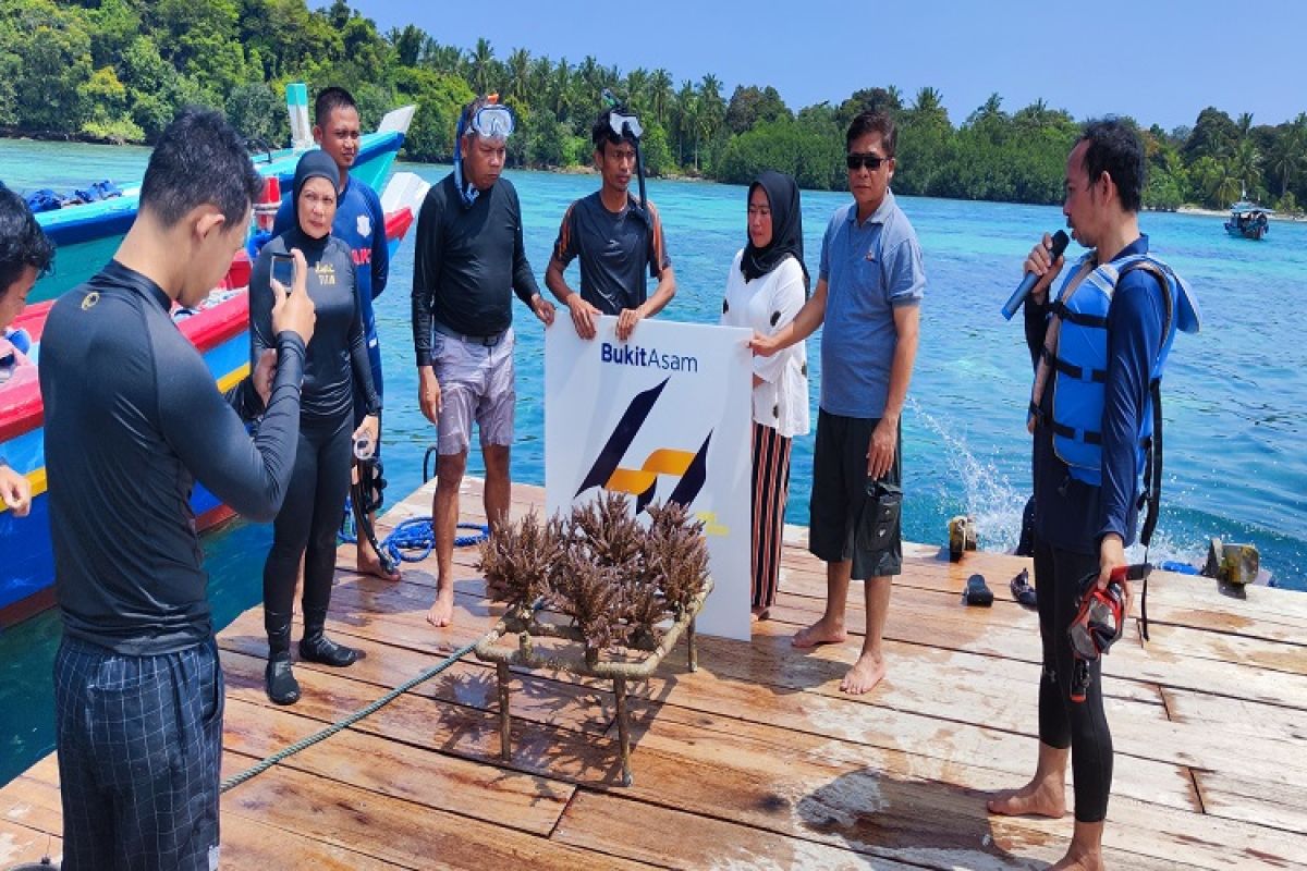 Bukit Asam konservasi terumbu karang di Pulau Pahawang