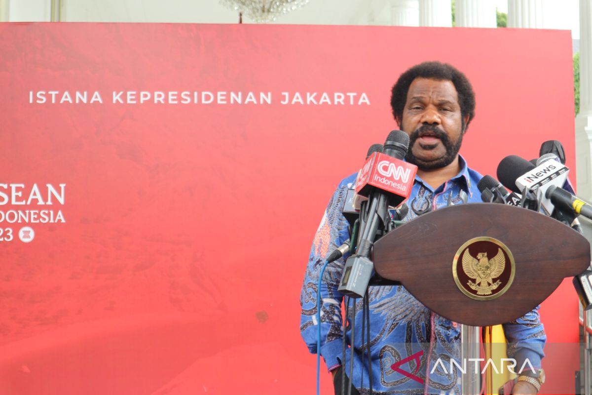 Papuan customary chief pledges to help release New Zealand pilot