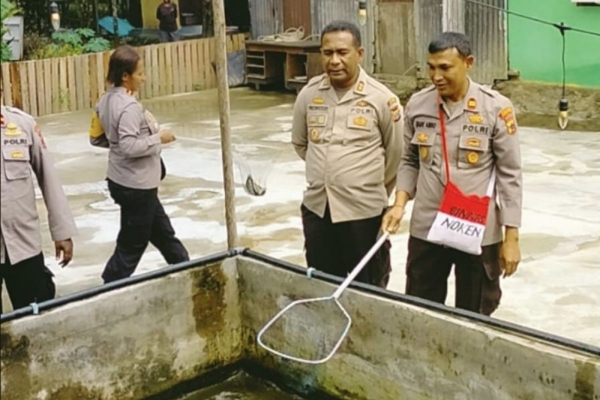 Kapolres Jayapura panen ikan mujair hasil warga binaan