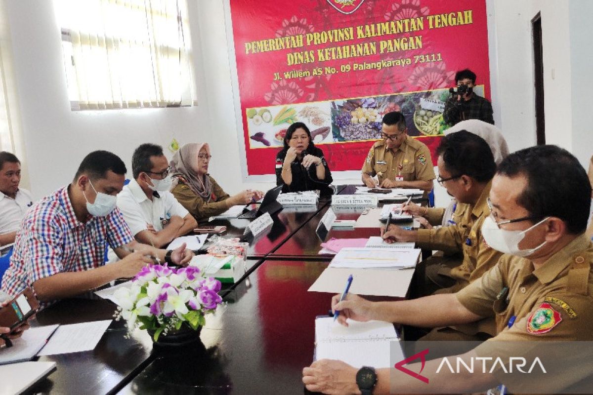 Kementan: Ketersediaan bahan pokok di Kalteng aman hadapi HBKN