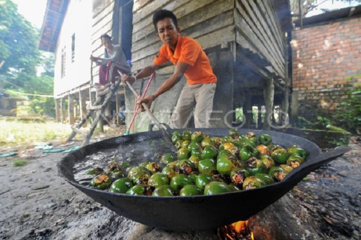 Produksi kolang-kaling musiman