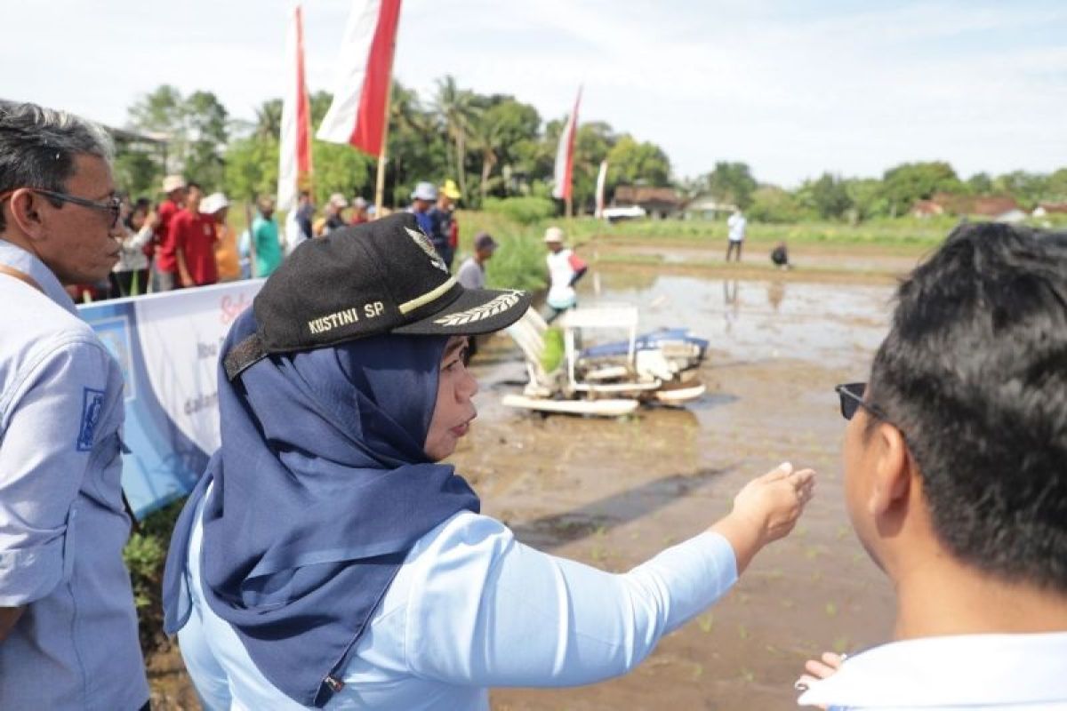 Pemkab Sleman percepat penanaman benih padi dengan menggunakan "rice transplanter"