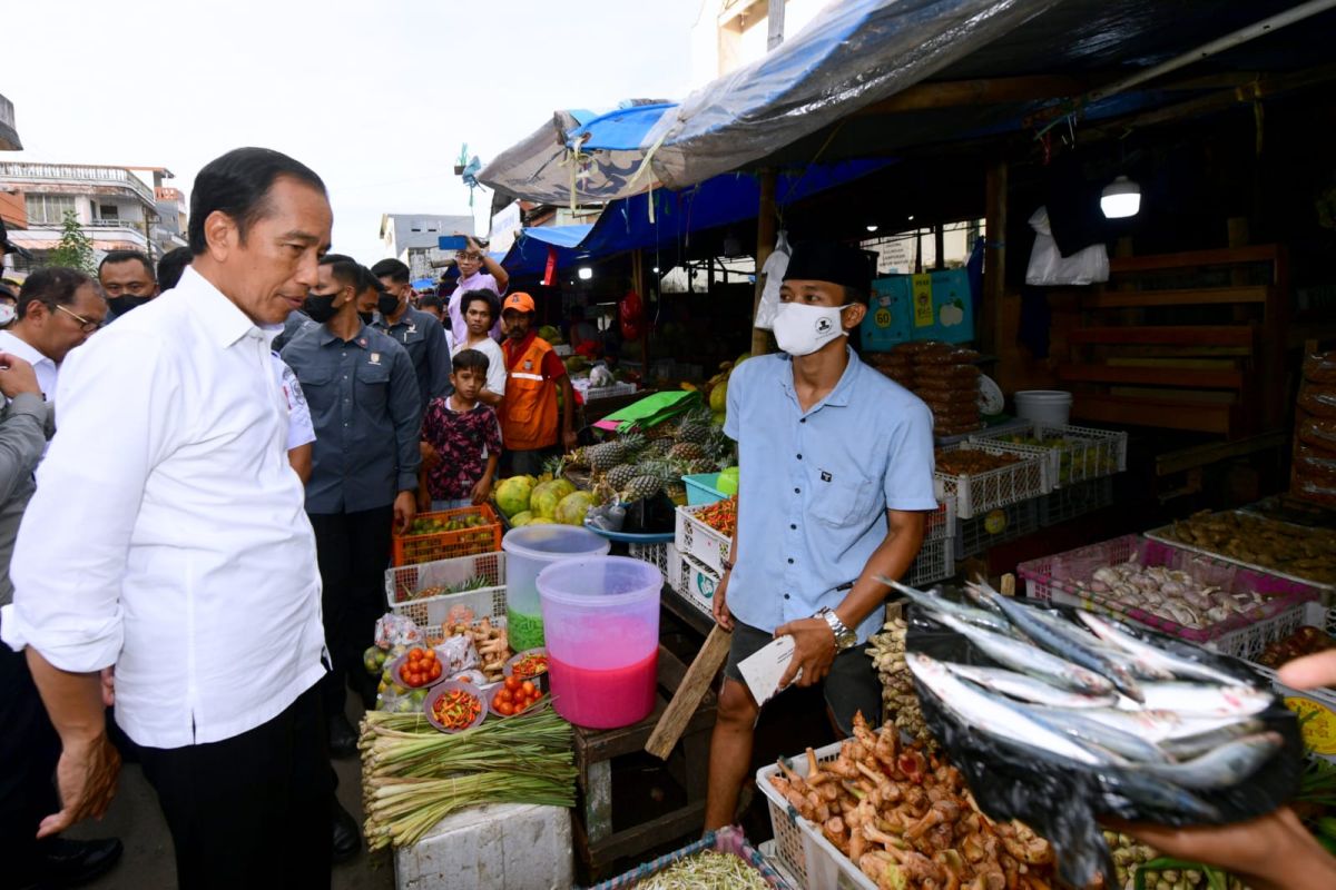Jokowi akan meninjau panen padi hingga smelter di Sulsel