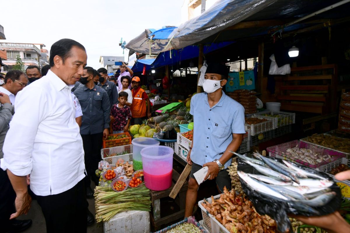 Joko Widodo akan tinjau panen padi hingga smelter di Sulsel