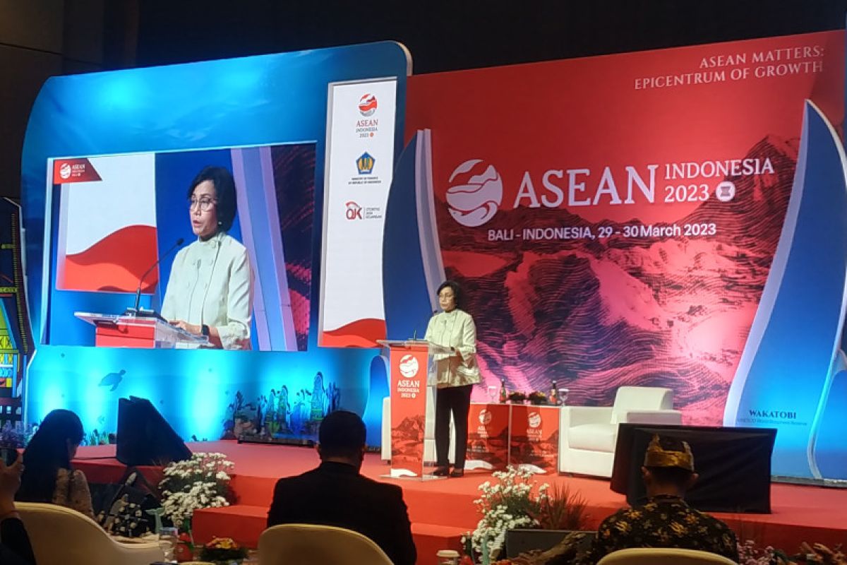 Menkeu: Promosi inklusi dan literasi keuangan UMKM di ASEAN penting