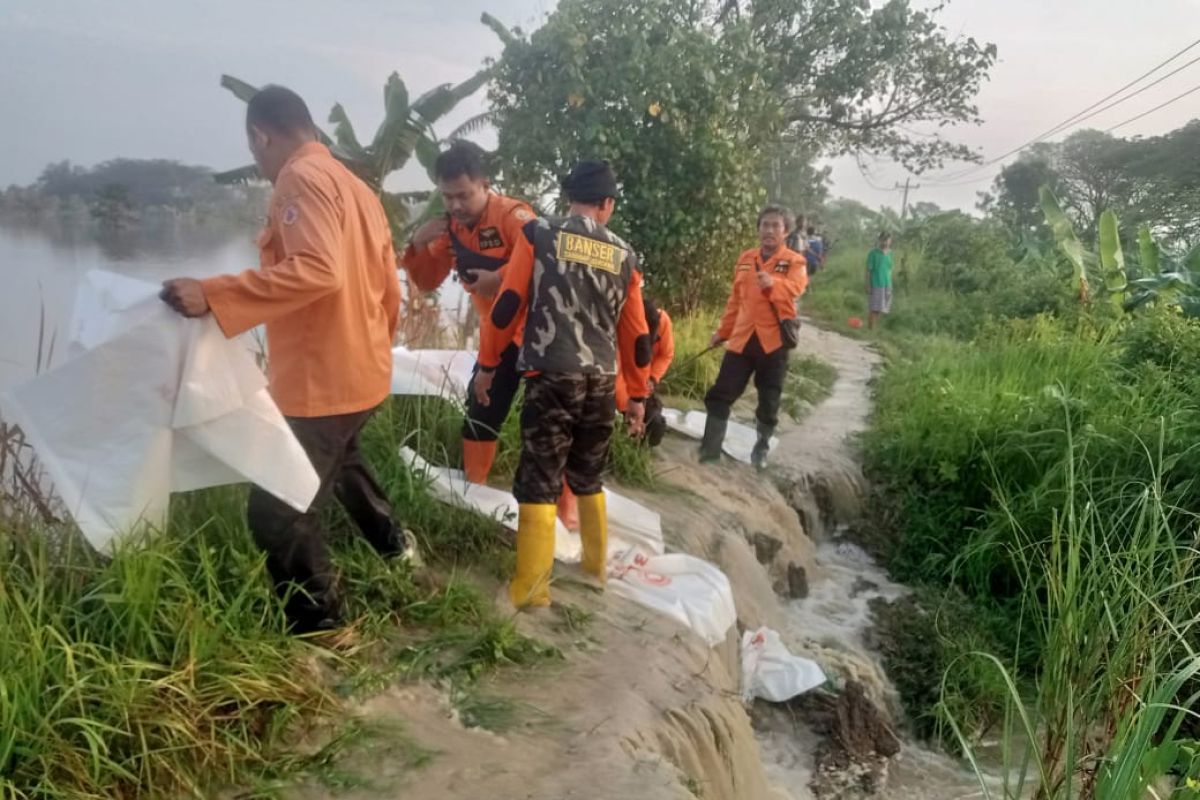 Antisipasi banjir, Pemkab Grobogan perkuat tanggul sungai