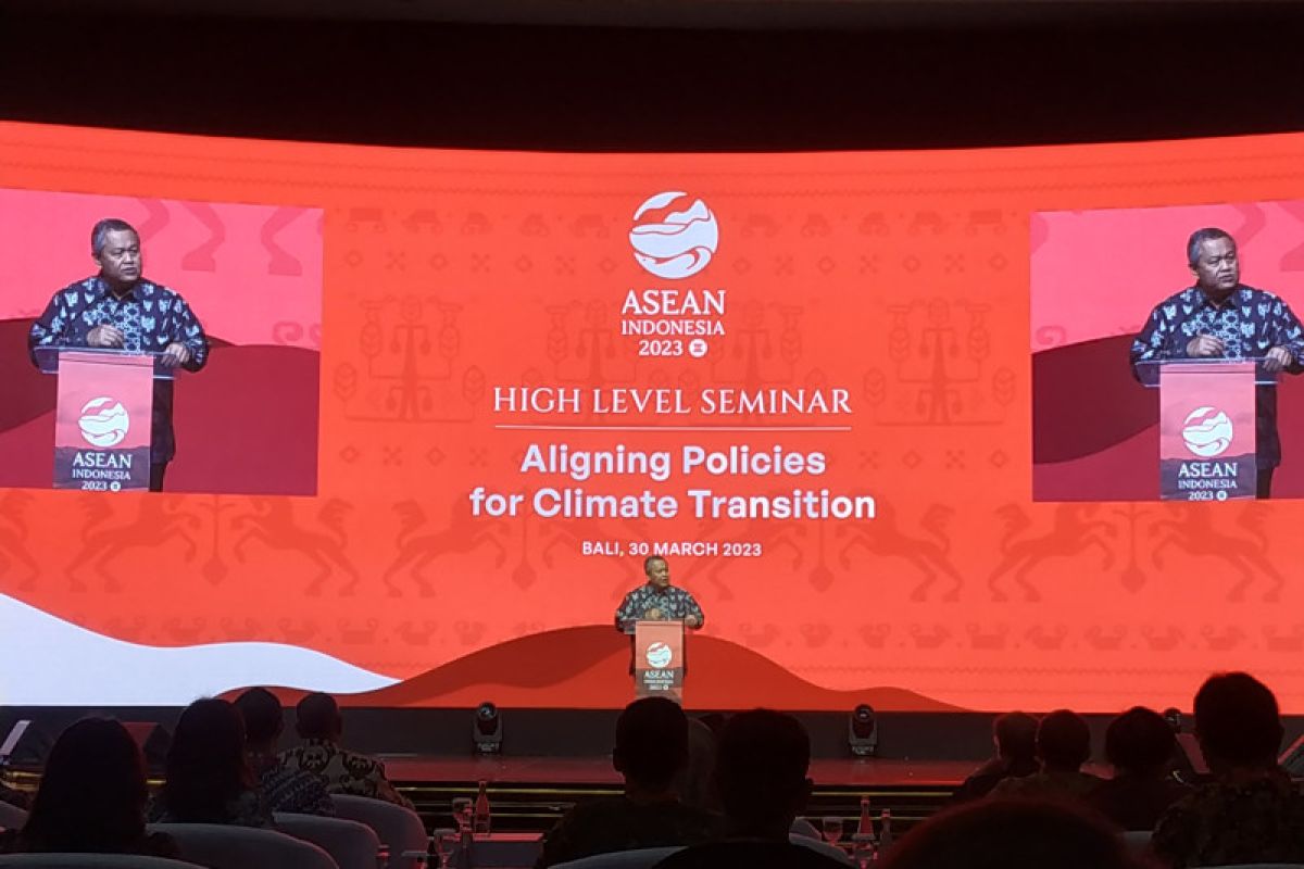 Well-managed climate transition crucial for risk mitigation: BI