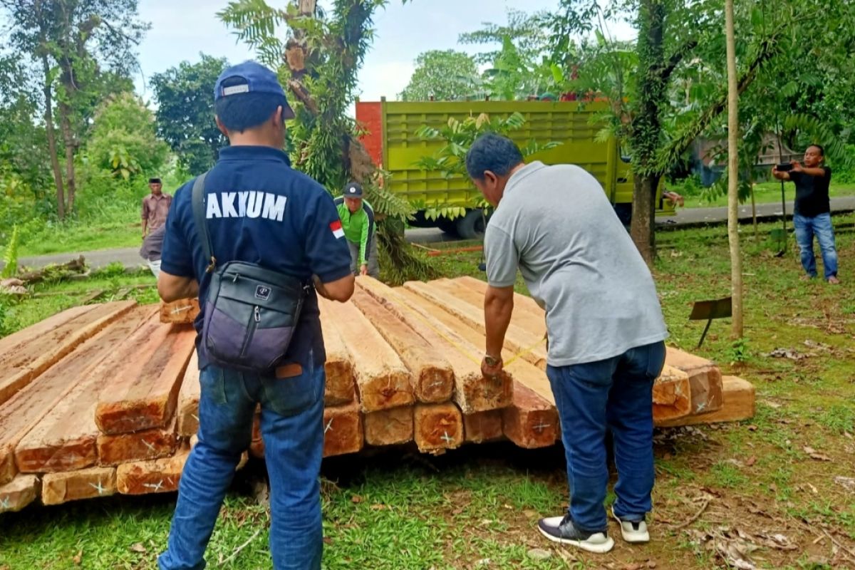 Dua tersangka pembalak kayu ilegal di Sulsel segera disidang