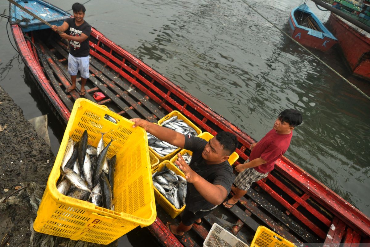 1.672 nelayan Bengkulu telah terverifikasi terima Kusuka