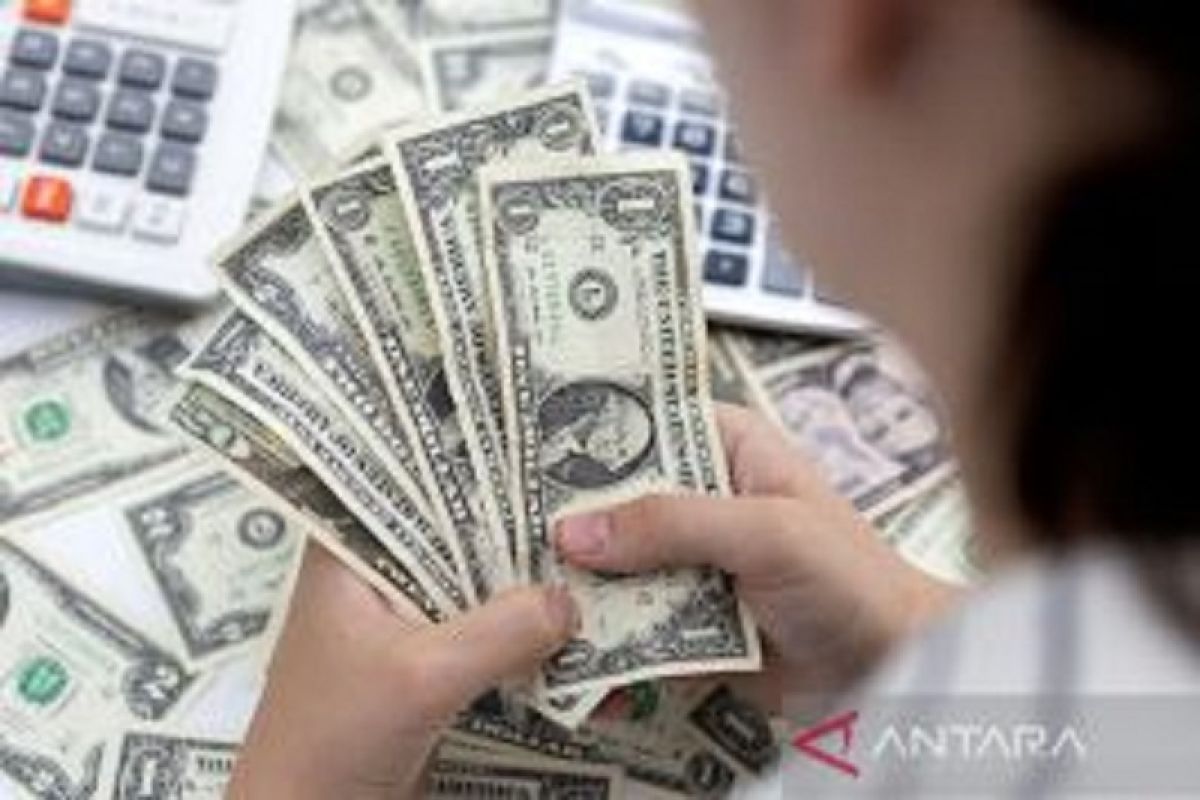 Dolar AS menguat didorong pelarian ke mata uang yang dianggap aman